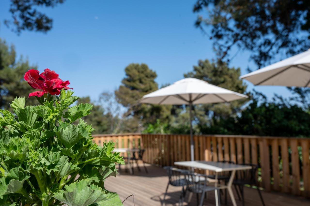 Kibbutz Malkiya Travel Hotel Malkiyya 외부 사진