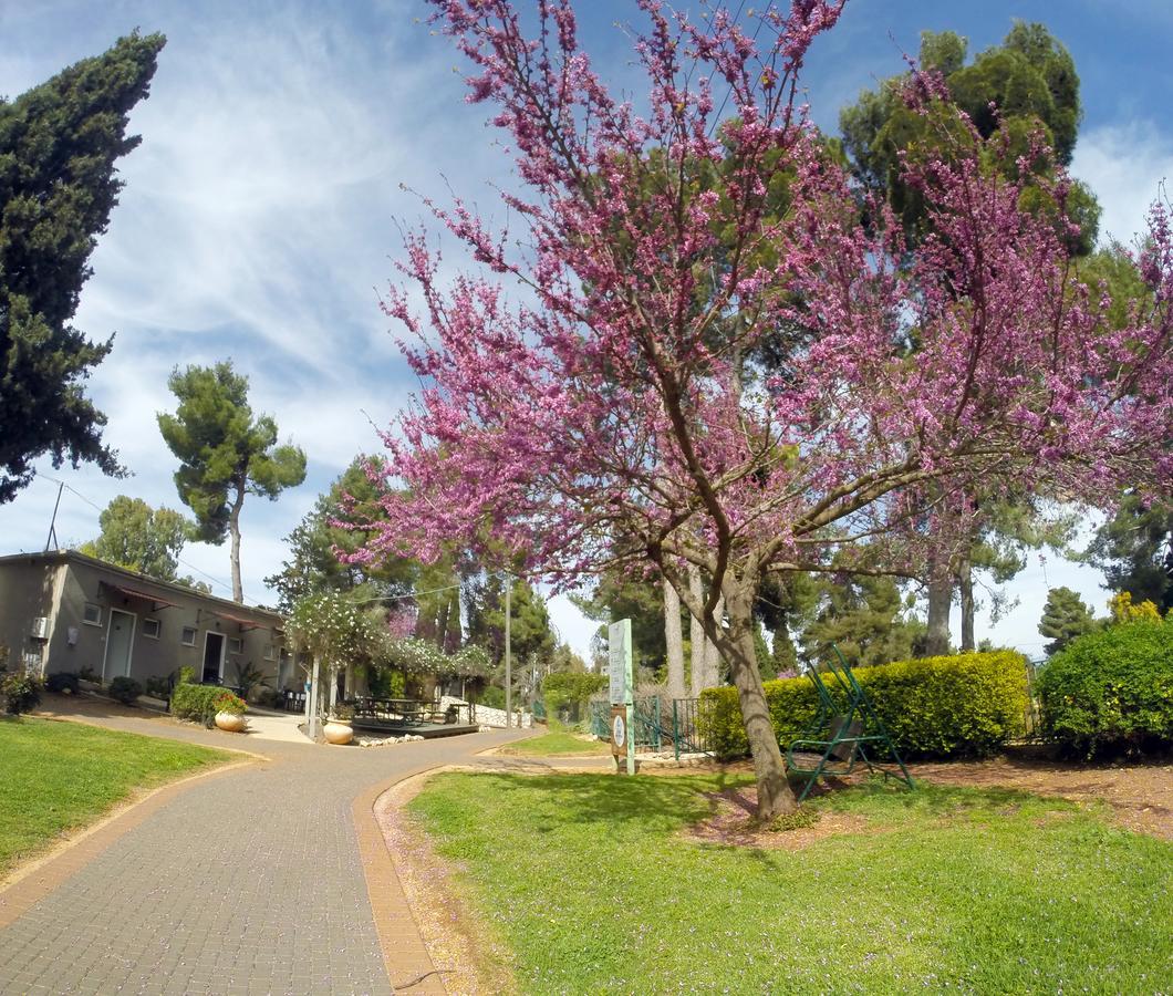 Kibbutz Malkiya Travel Hotel Malkiyya 외부 사진